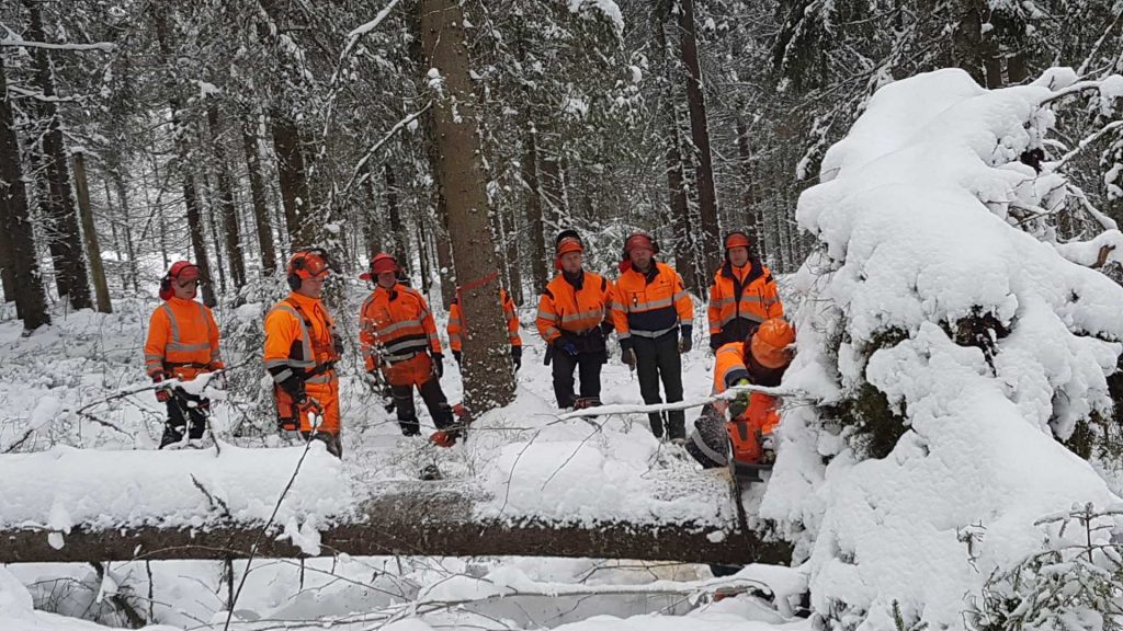 Personal från kommunen får utbildning i hur man på ett säkert sätt tar hand om stormfälld skog