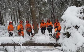 Personal från kommunen får utbildning i hur man på ett säkert sätt tar hand om stormfälld skog