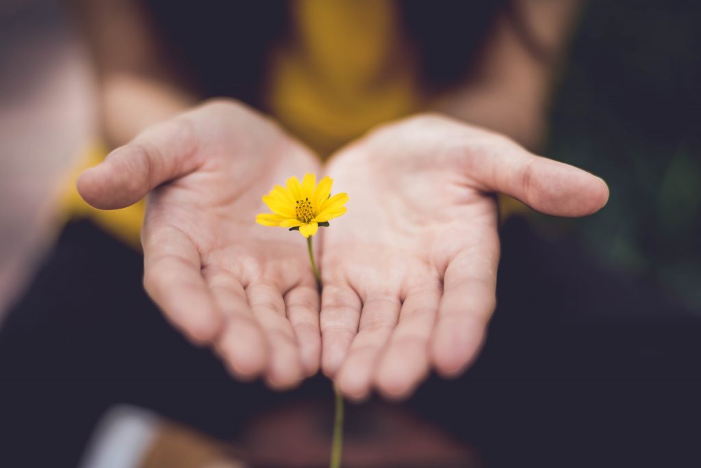 Två händer med en gul blomma i mitten
